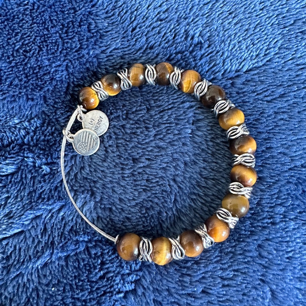 Alex & Ani charm bracelet